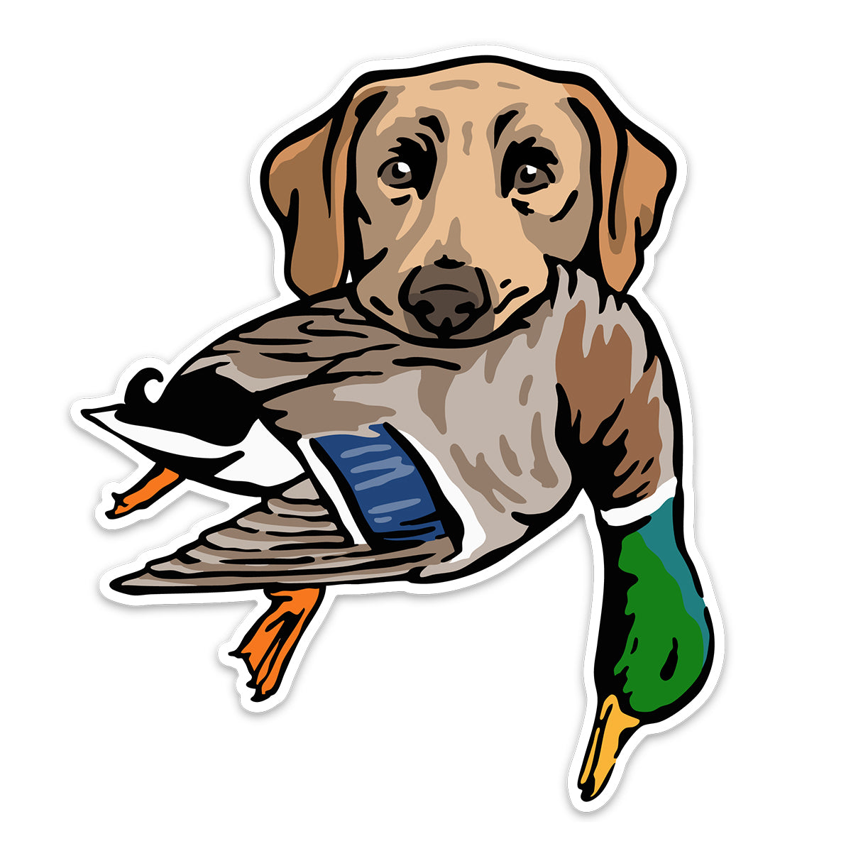 |Yellow Lab with a Mallard