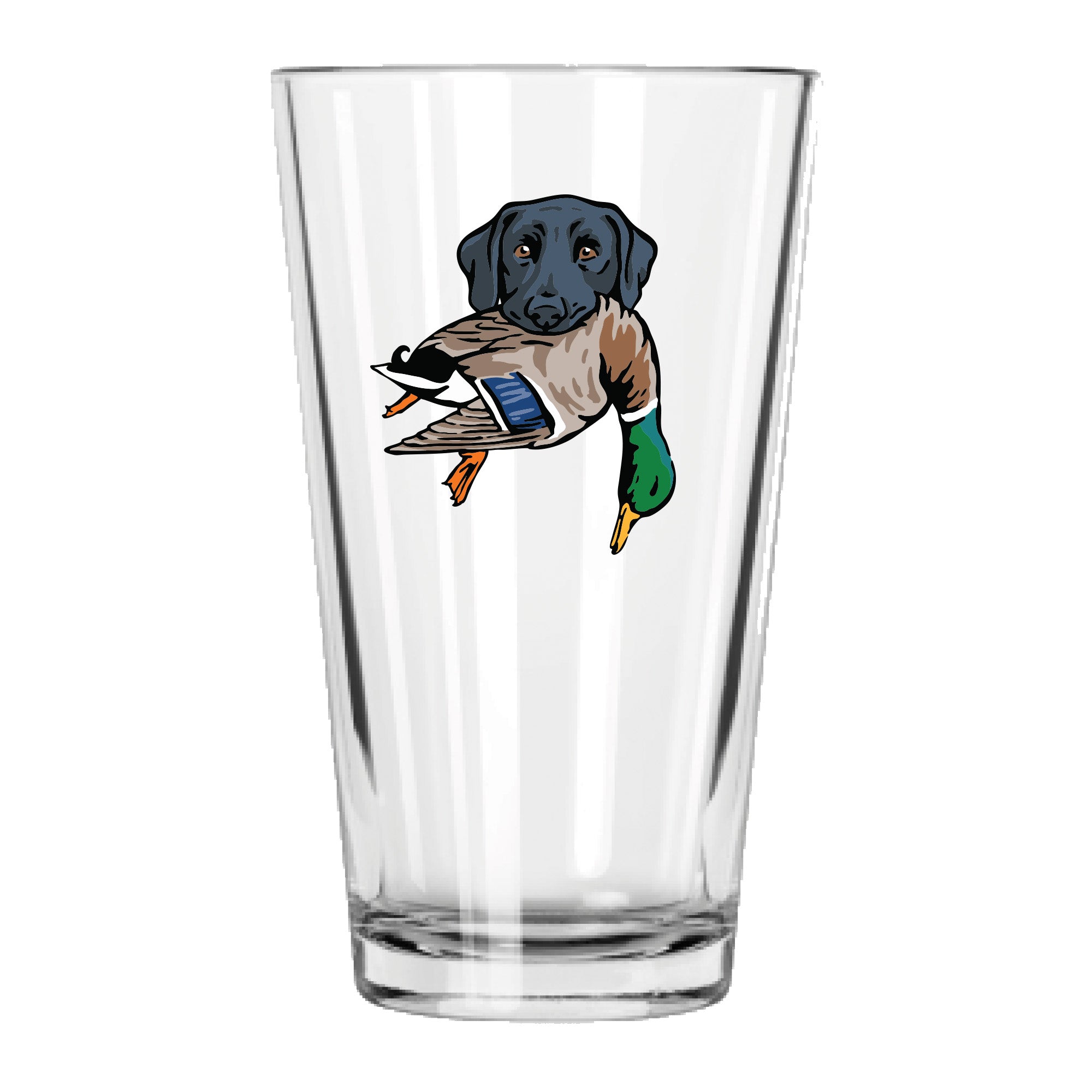 |Black Lab with a Mallard