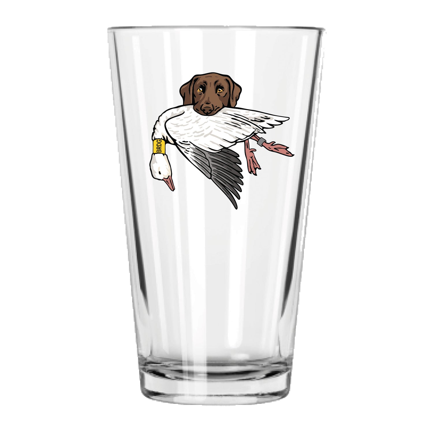 |Chocolate Lab with a Snow Goose