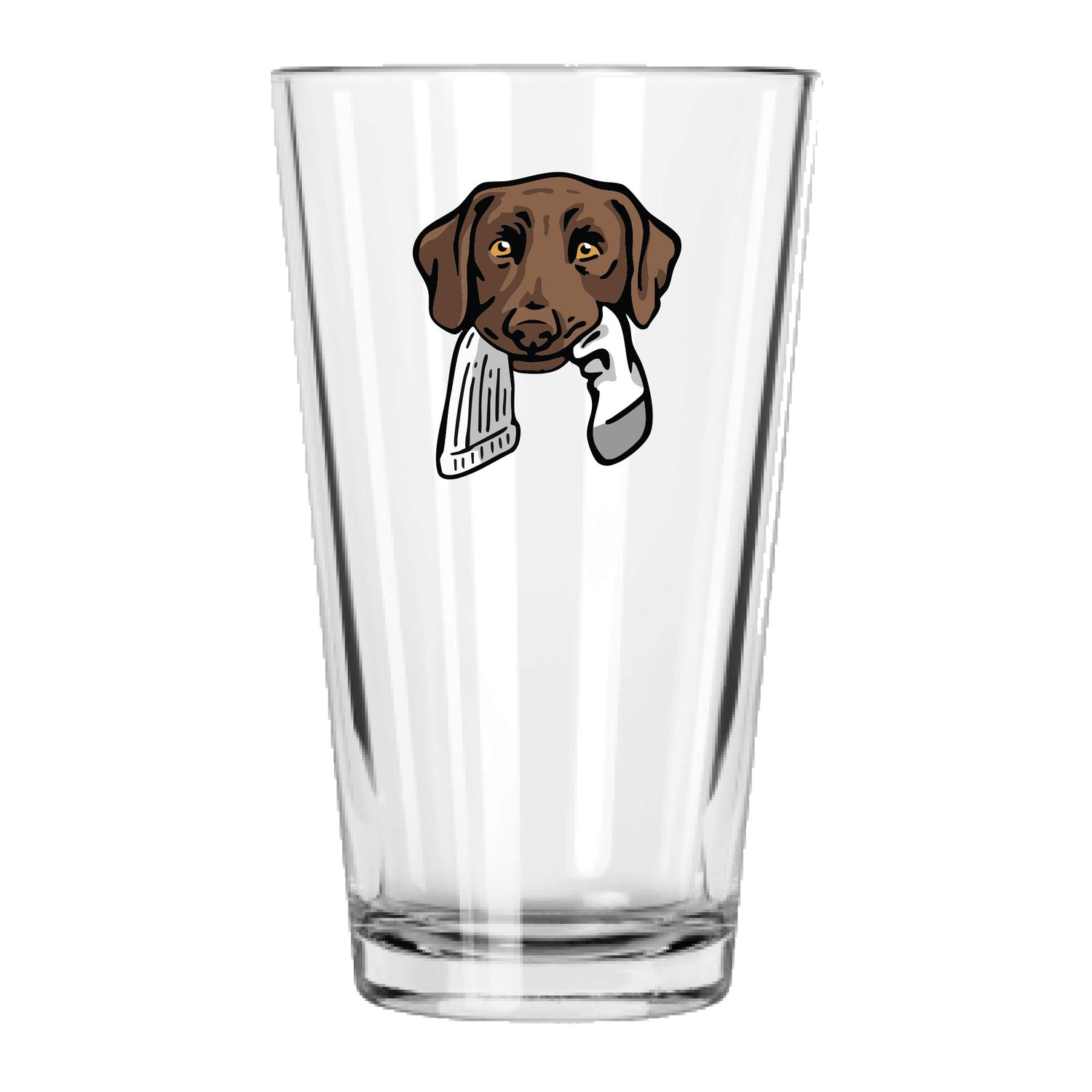 |Chocolate Lab with a Sock