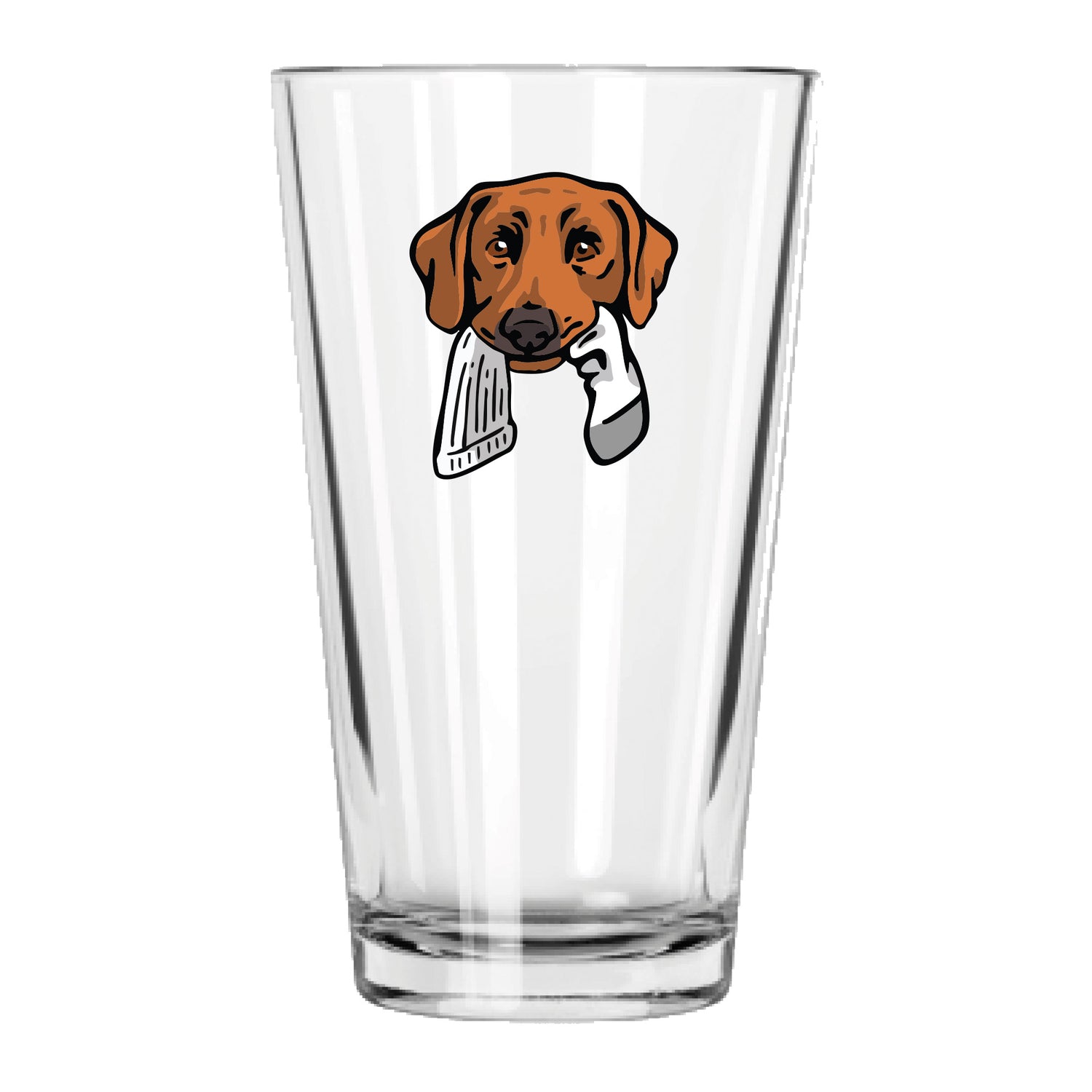 |Red Lab with a Sock