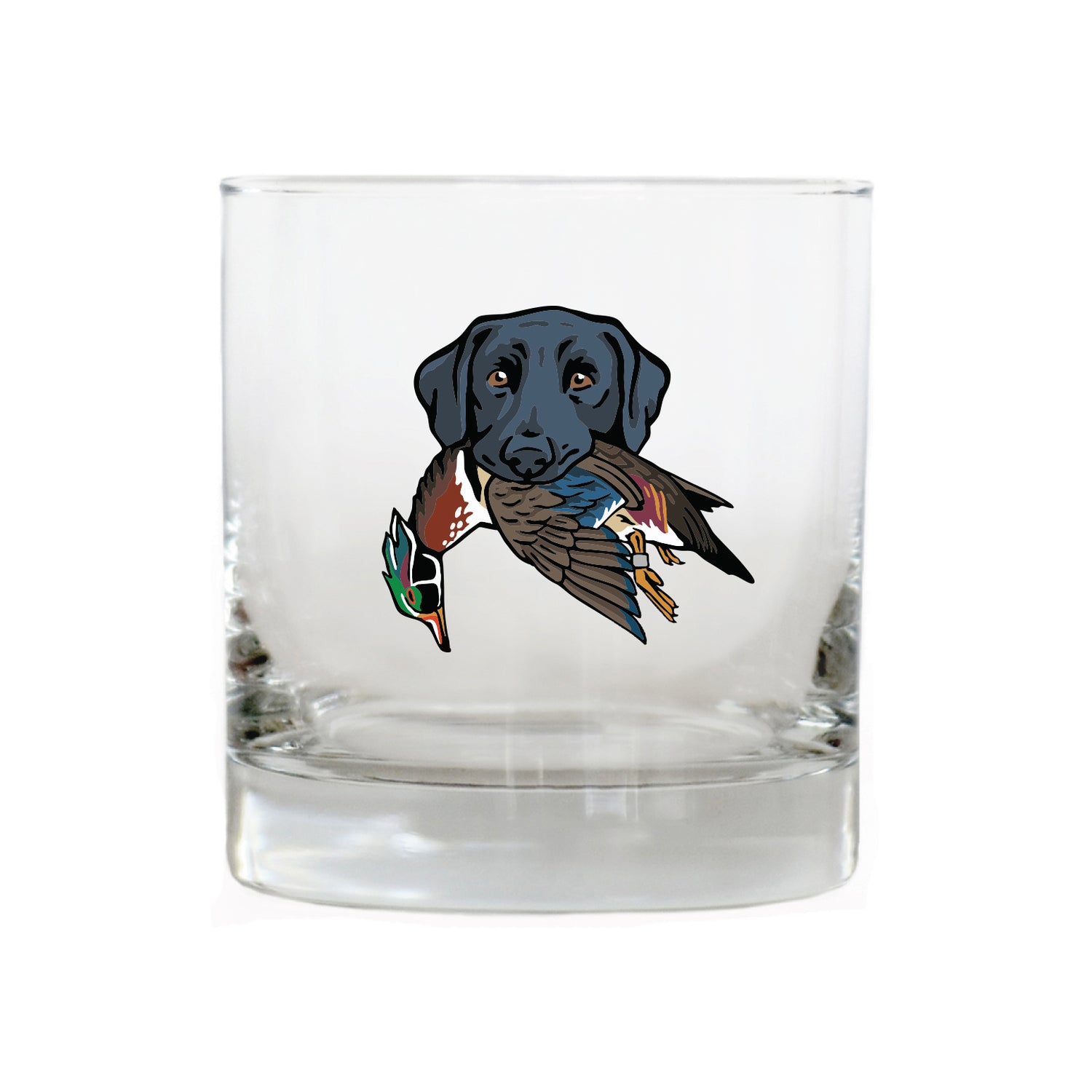 |Black Lab with a Wood Duck