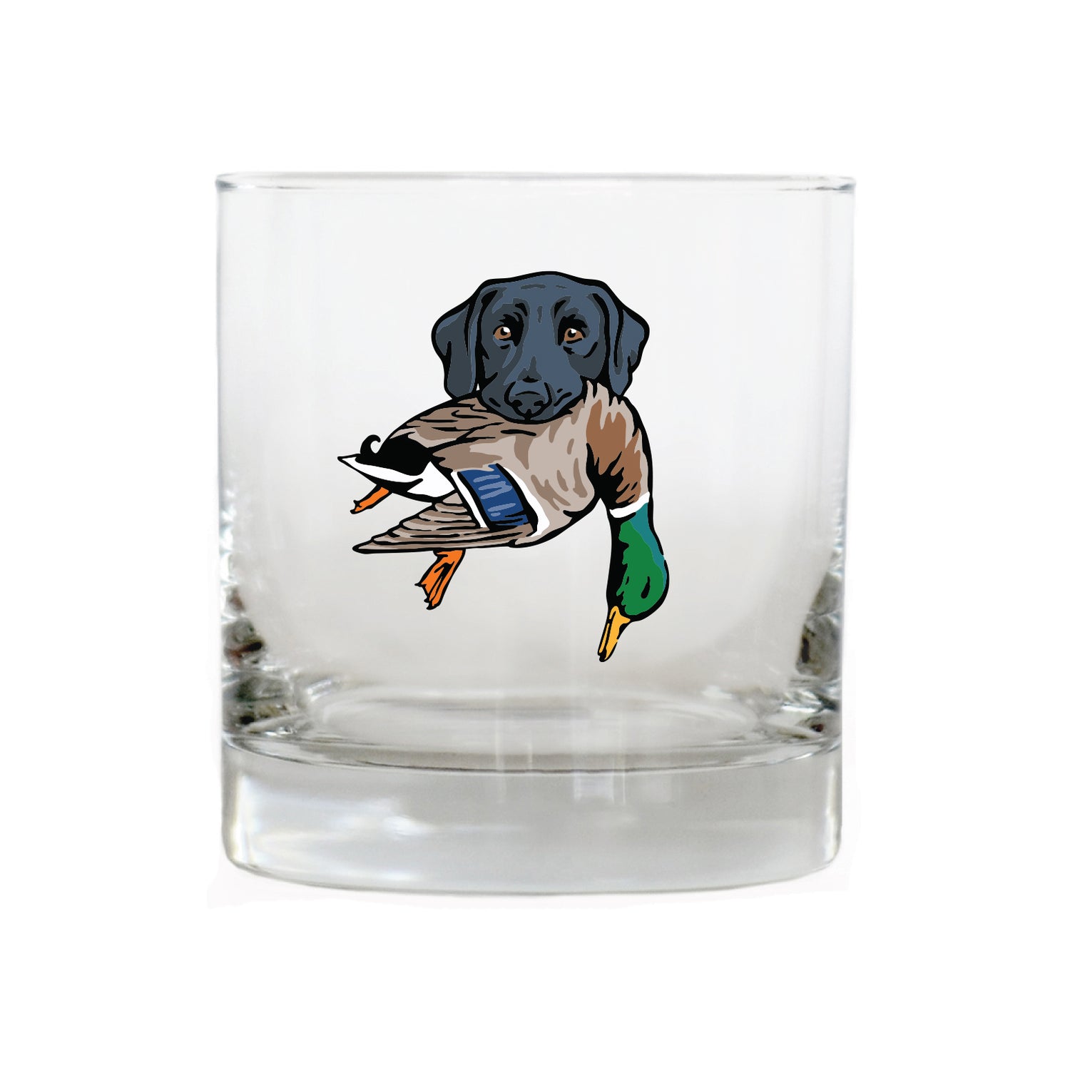 |Black Lab with a Mallard