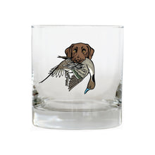 |Chocolate Lab with a Pintail