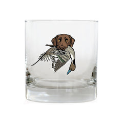 |Chocolate Lab with a Pintail