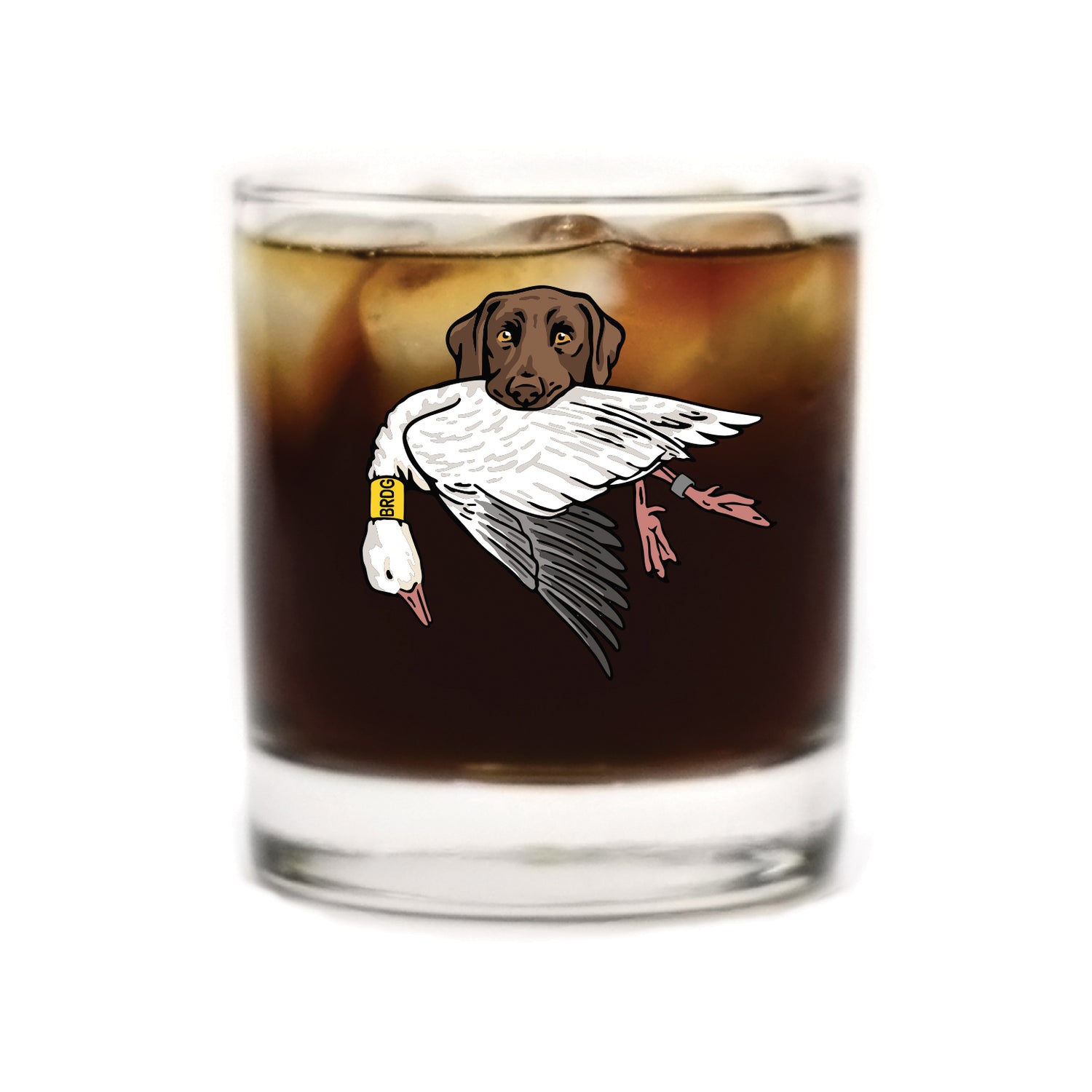 |Chocolate Lab with a Snow Goose