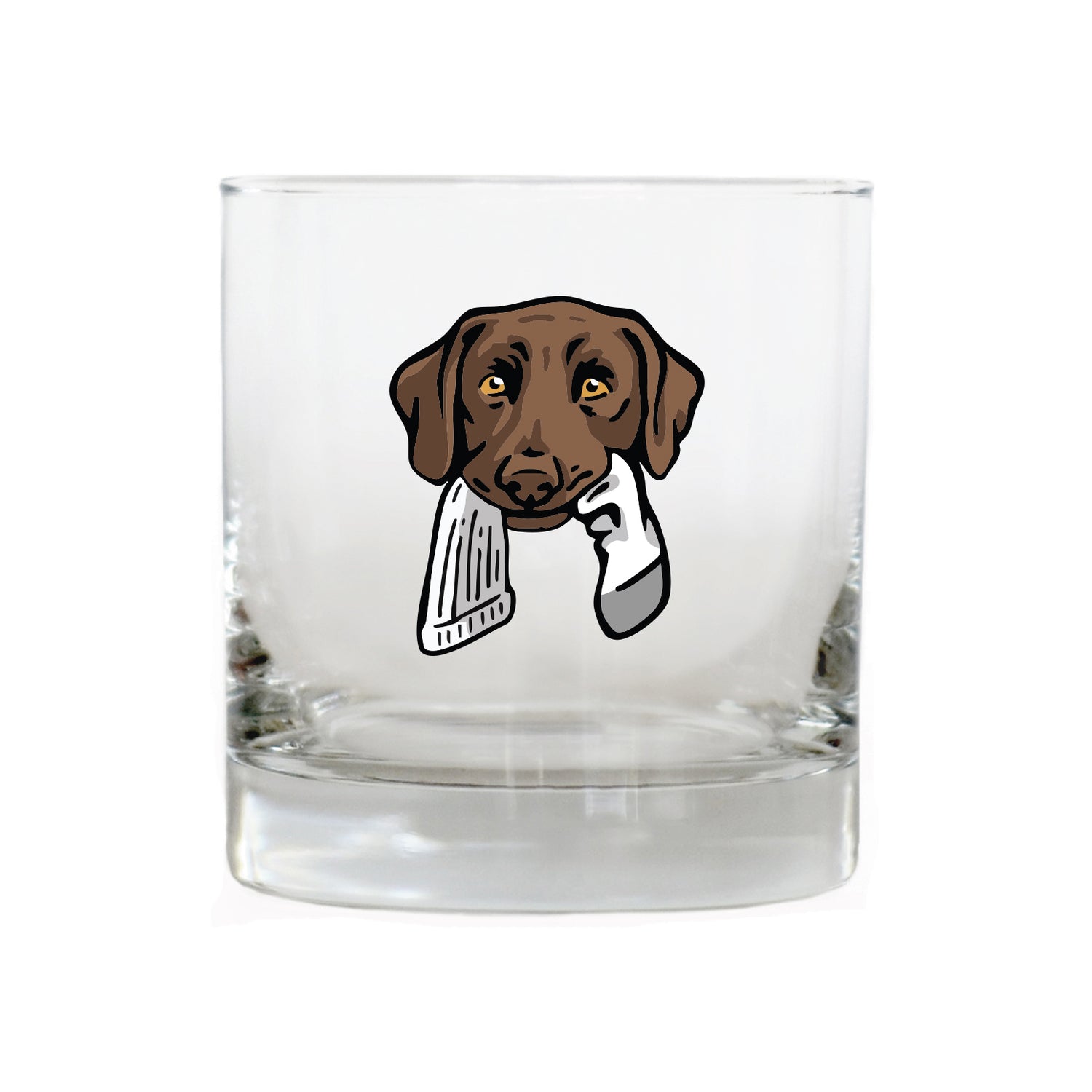 |Chocolate Lab with a Sock