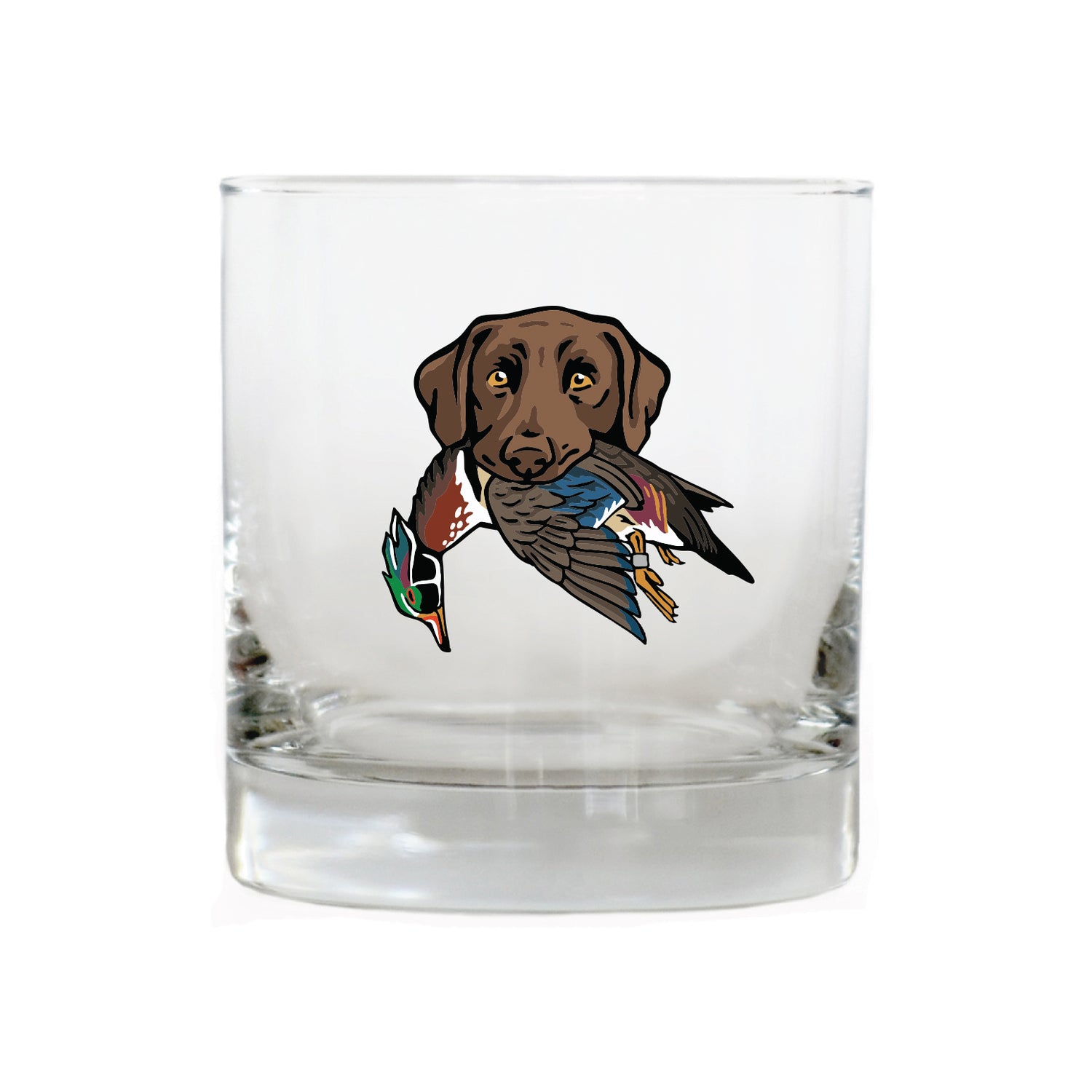 |Chocolate Lab with a Wood Duck