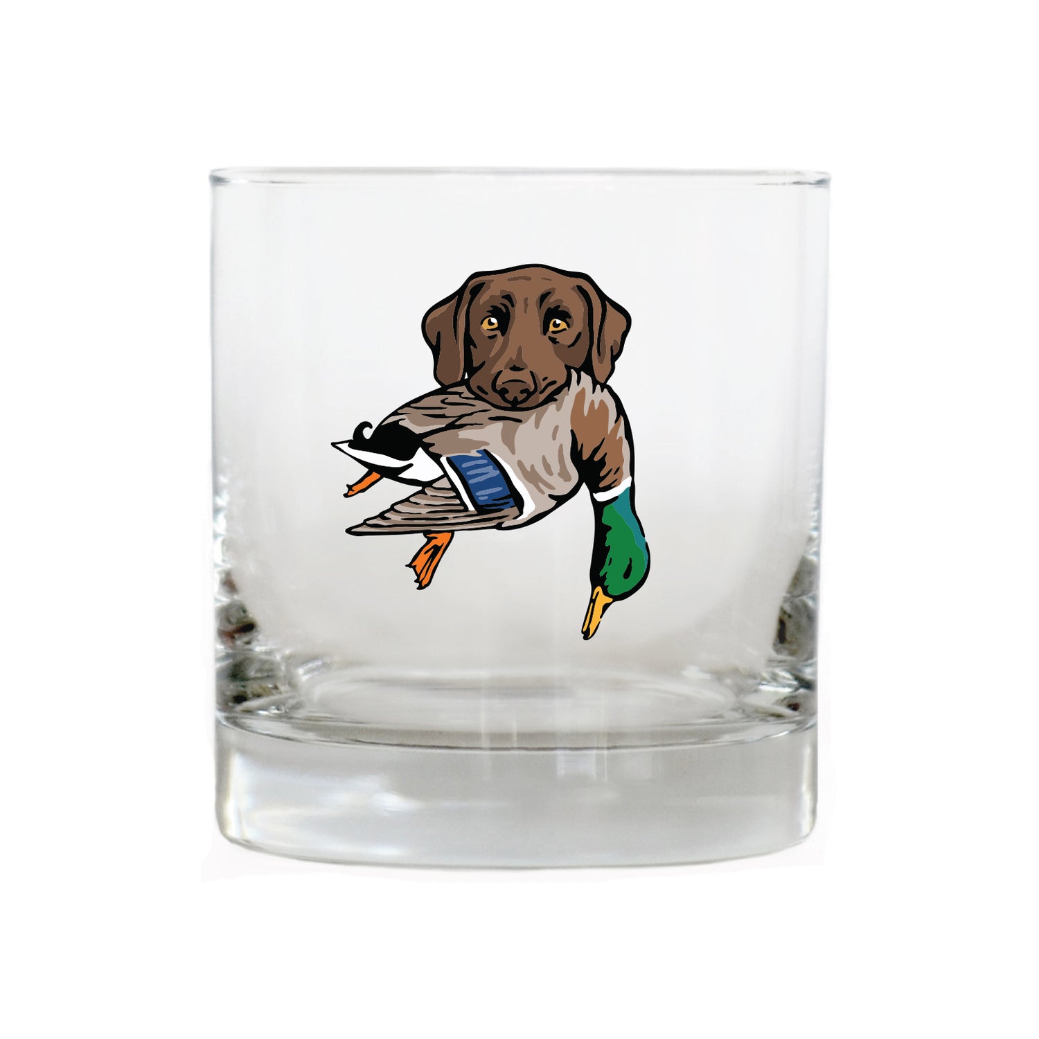 |Chocolate Lab with a Mallard