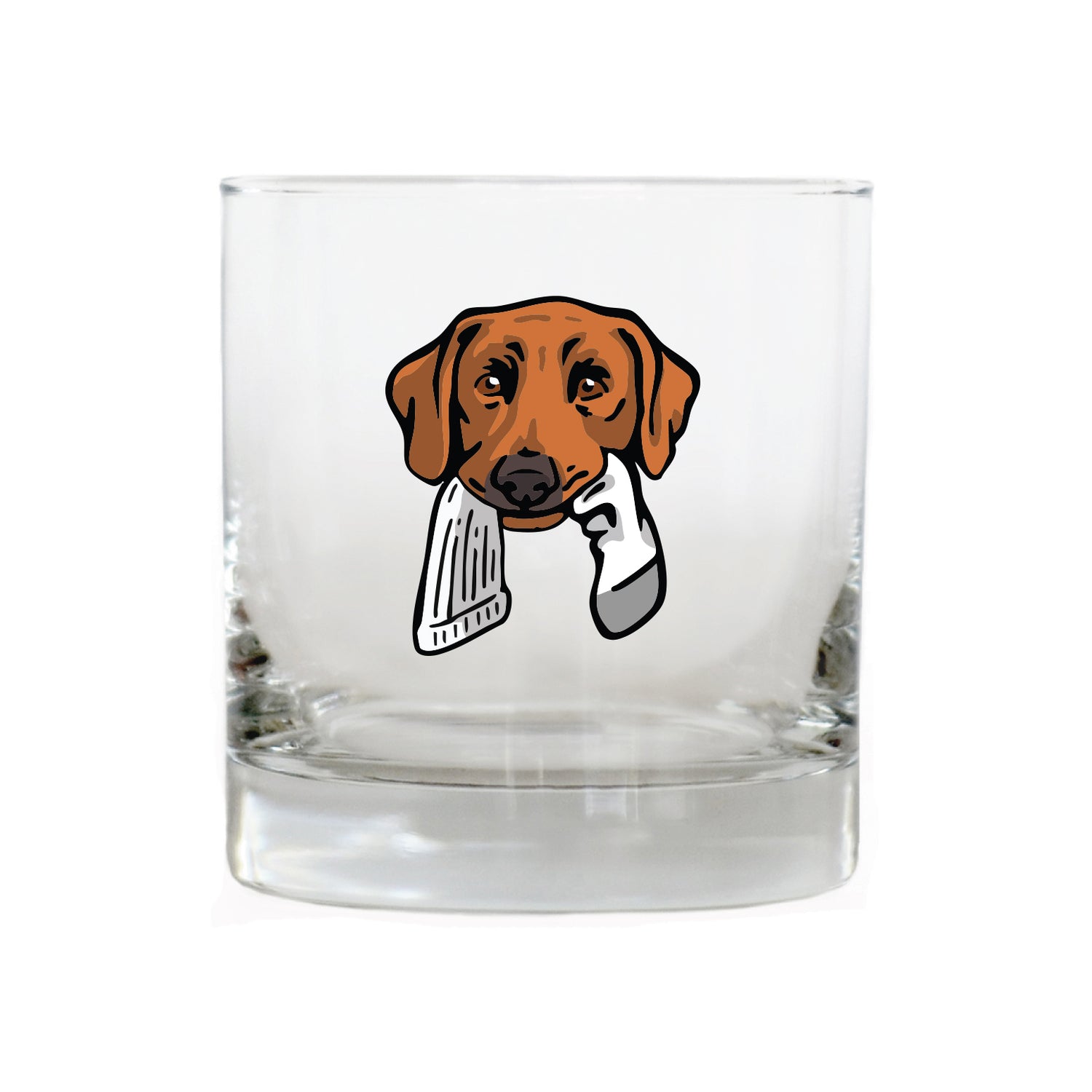 |Red Lab with a Sock