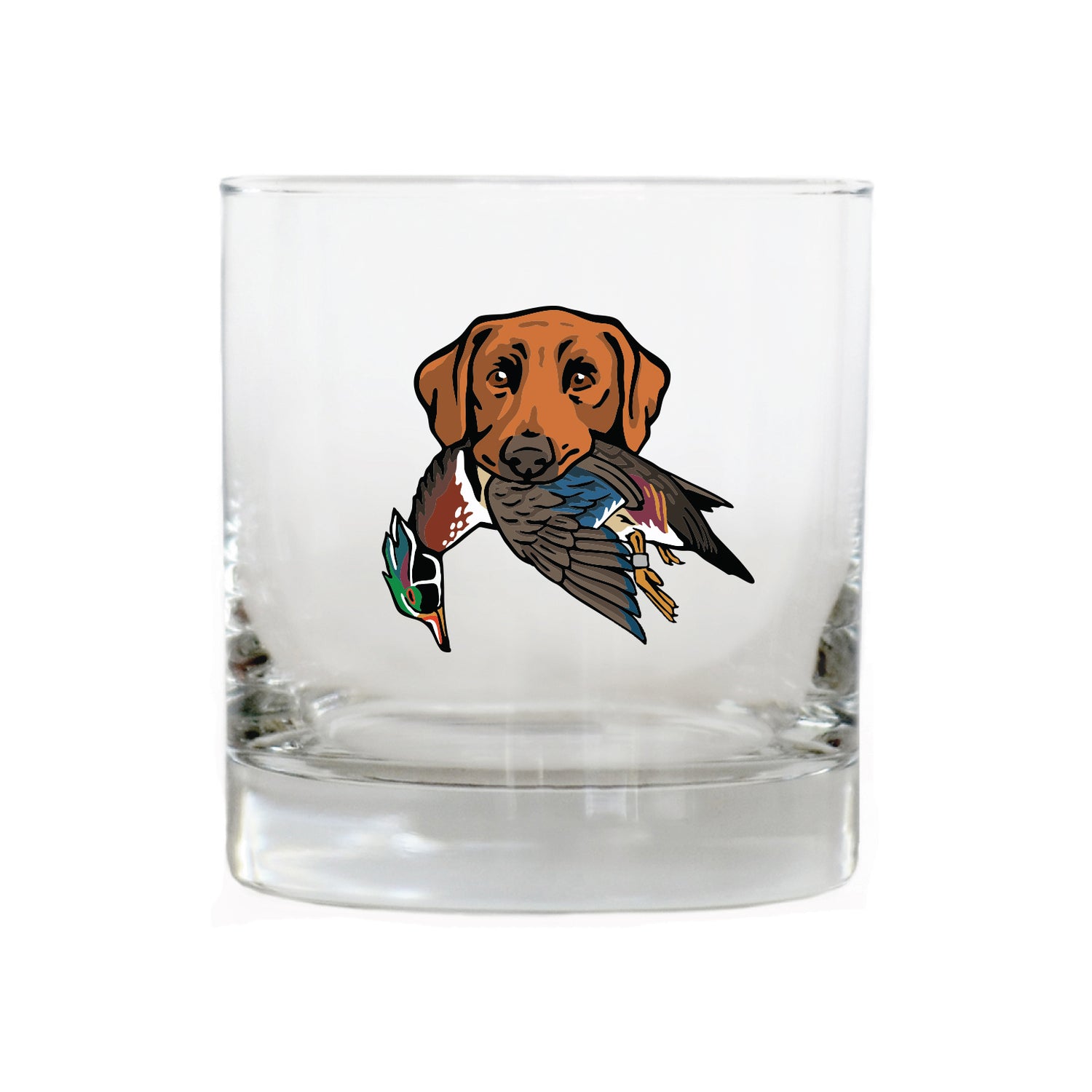 |Red Lab with a Wood Duck