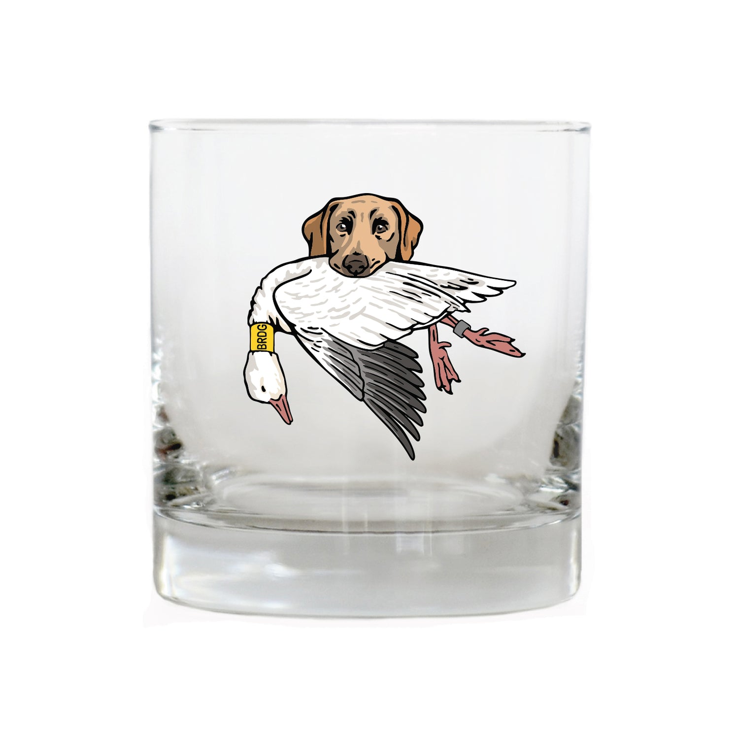 |Yellow Lab with a Snow Goose