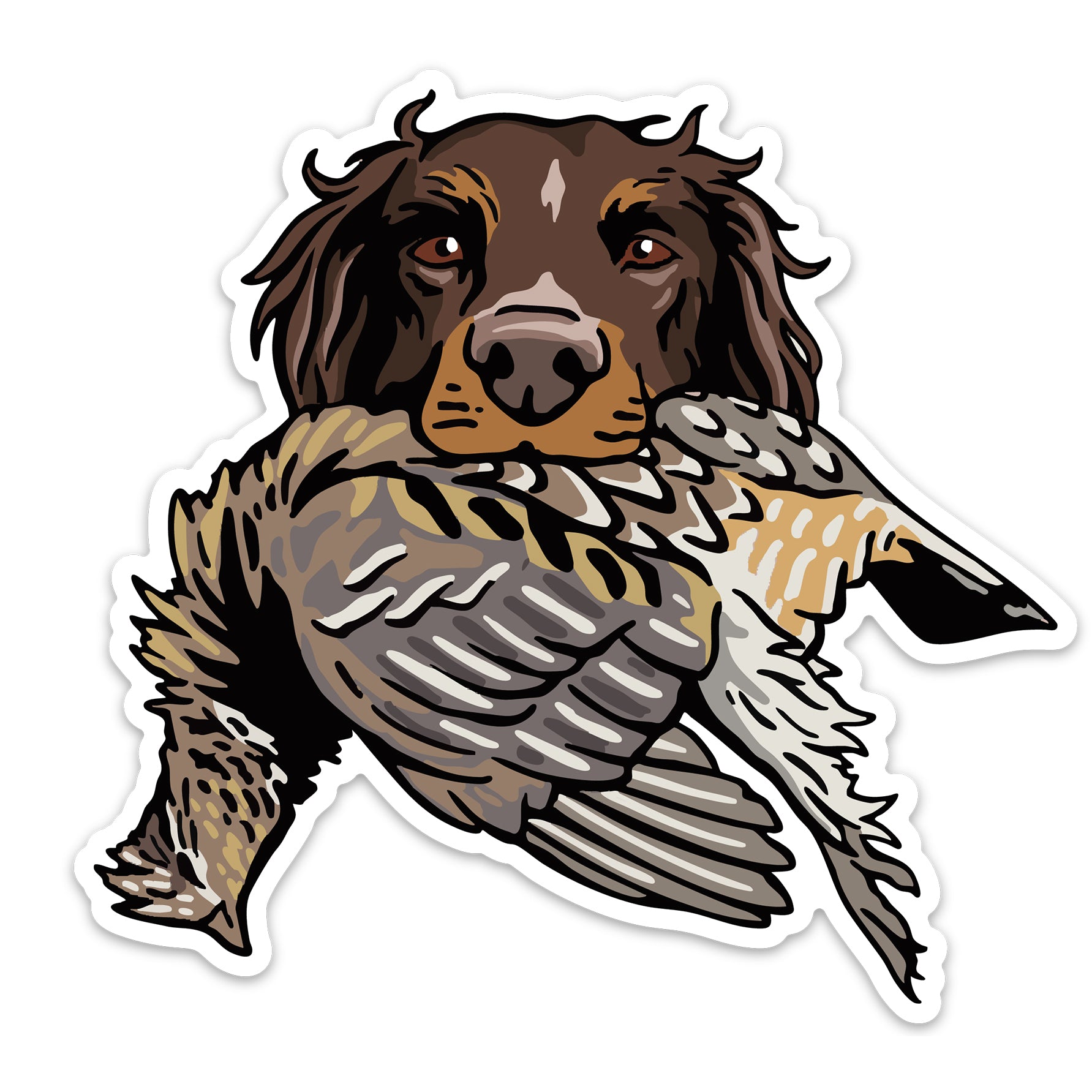 |Picardy with a Sharp-Tailed Grouse