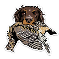 |Picardy with a Ruffed Grouse