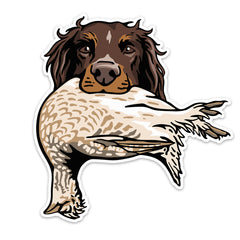 The Picardy Spaniel Bird Dog Decal Sticker