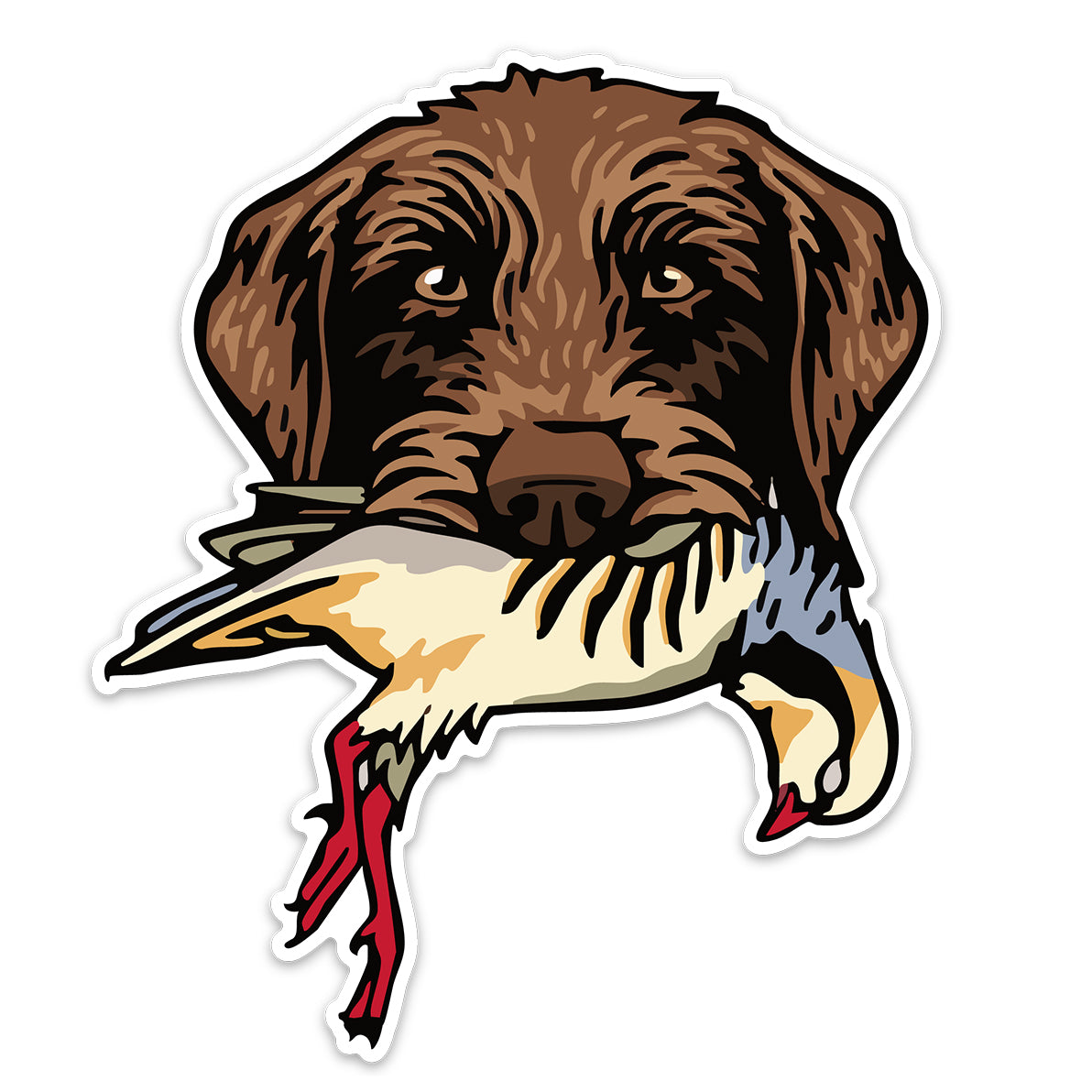 |Pudelpointer with a Pheasant