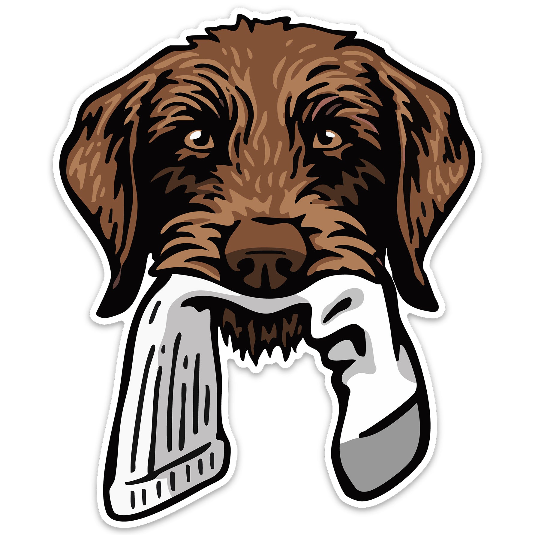 |Pudelpointer with a Pheasant