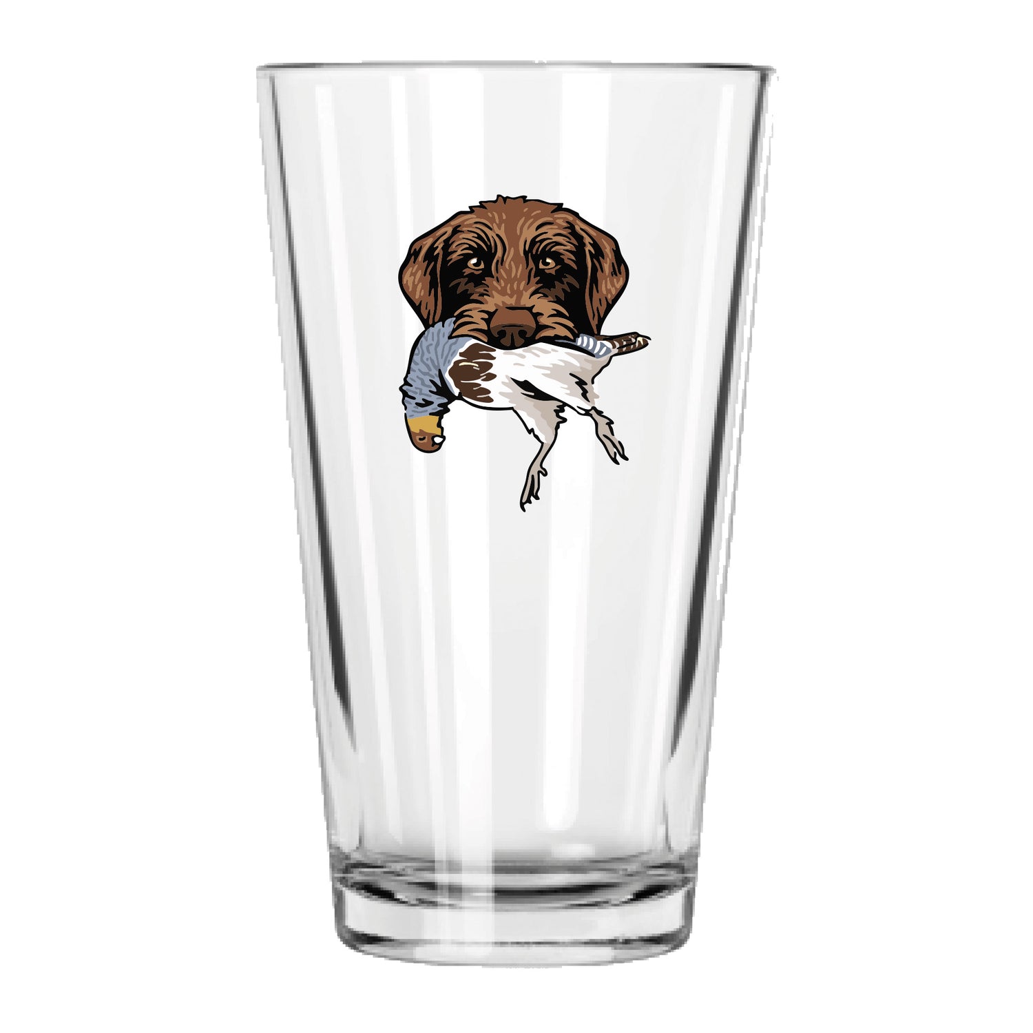 |Pudelpointer with a Hungarian Partridge