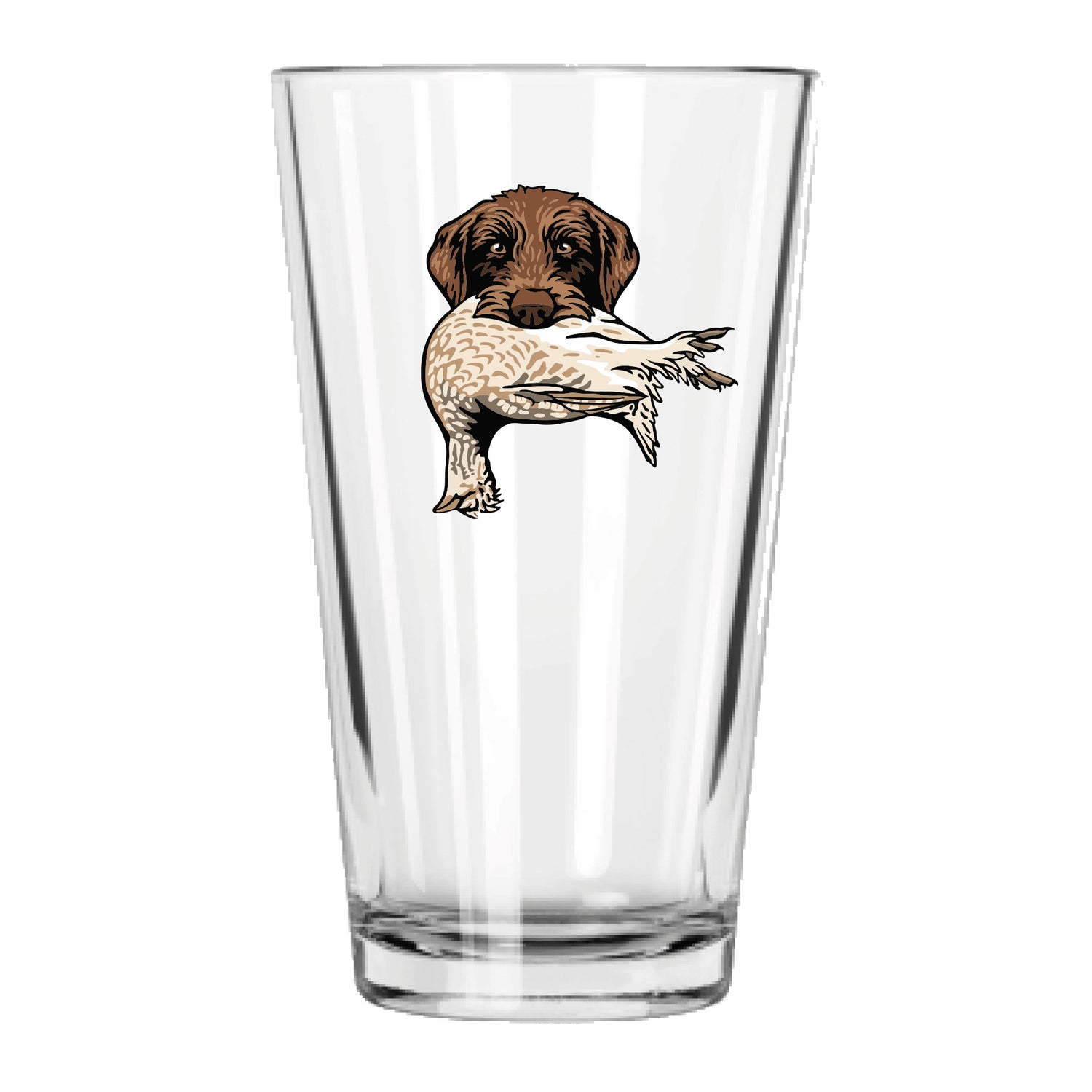 |Pudelpointer with a Sharp-Tailed Grouse