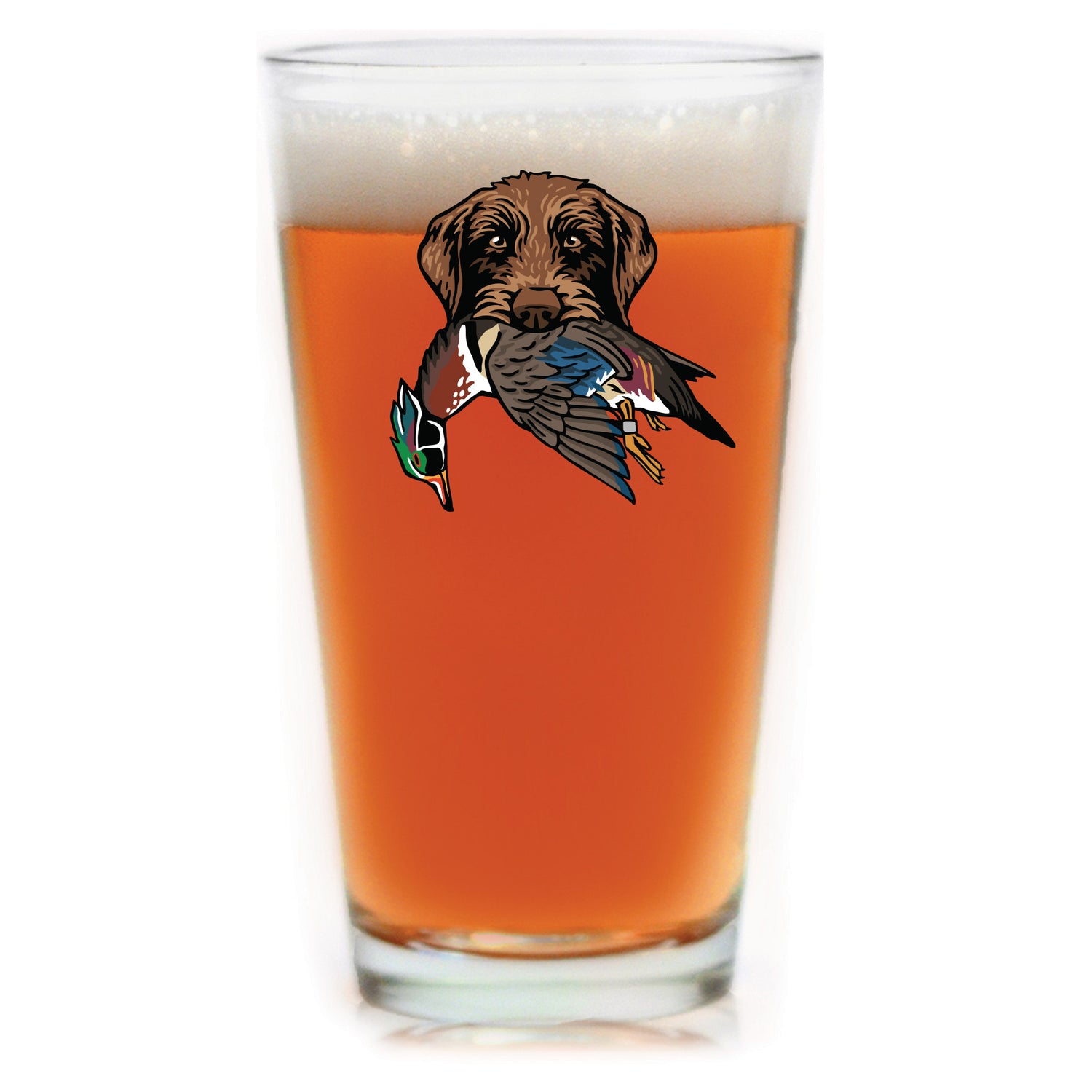 |Pudelpointer with a Wood Duck