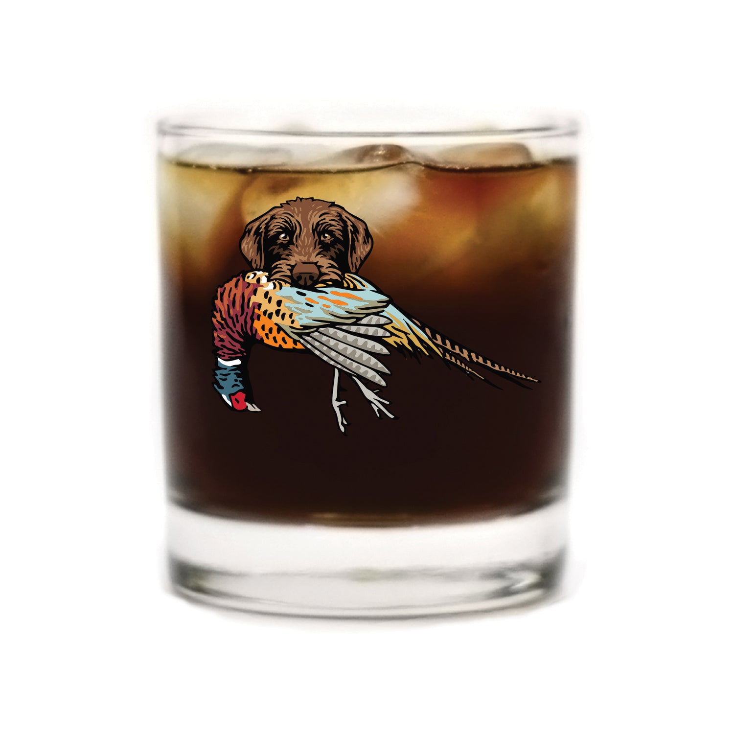 |Pudelpointer with a Pheasant