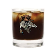 |Pudelpointer with a Pintail