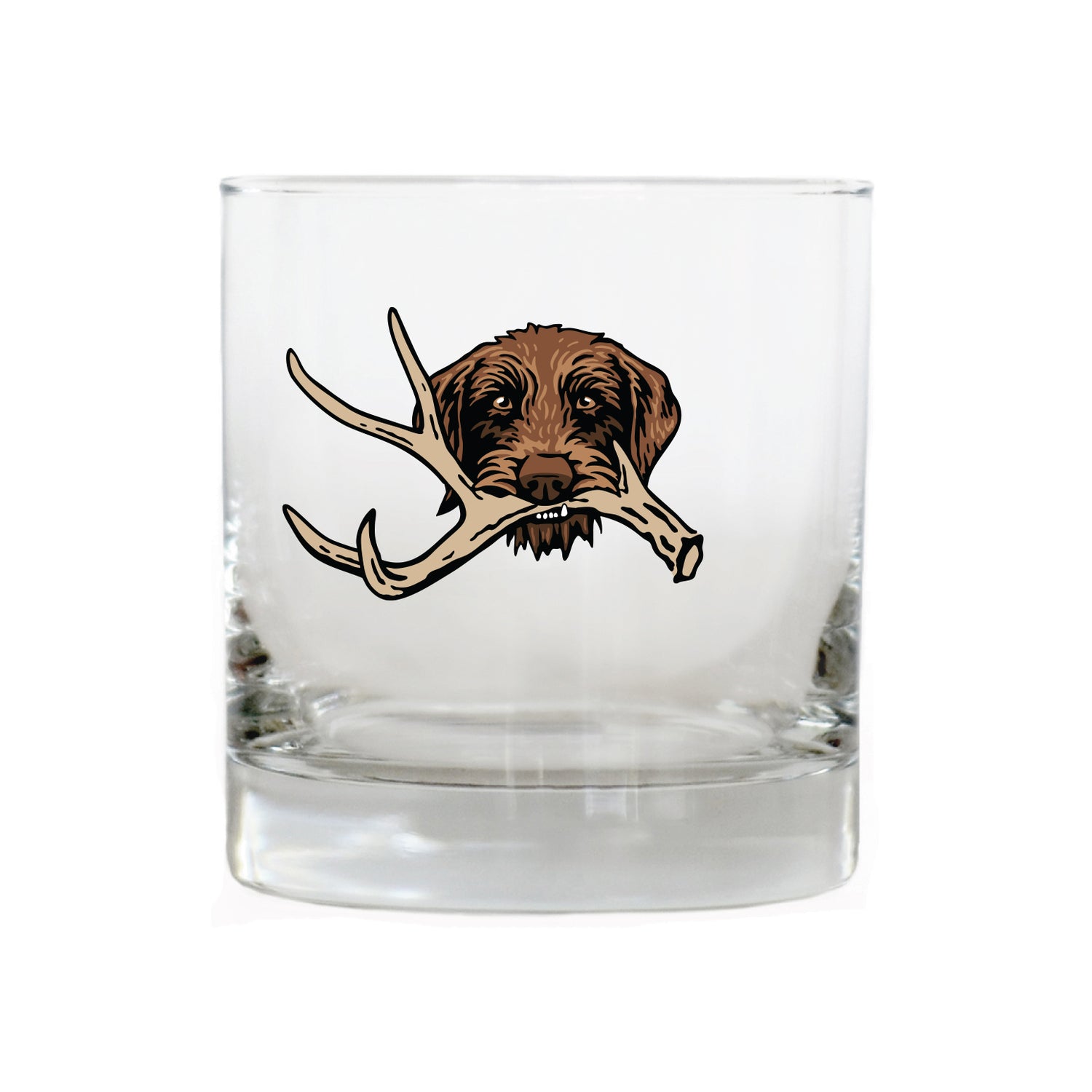 |Pudelpointer with a Shed Antler