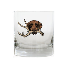 |Pudelpointer with a Shed Antler