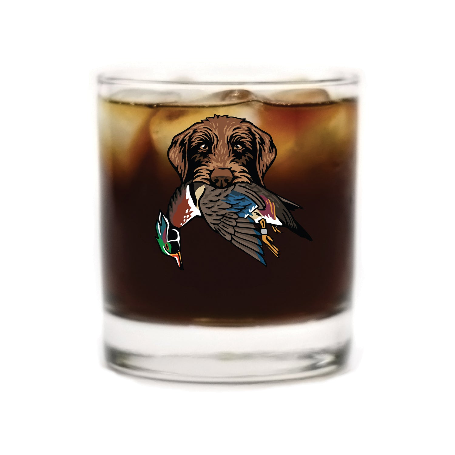 |Pudelpointer with a Wood Duck