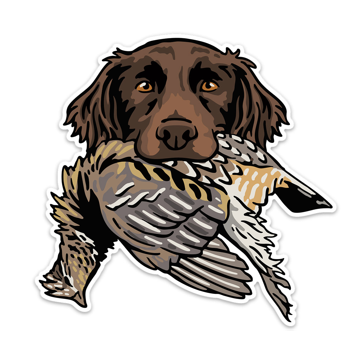 |Small Munsterlander with a Pheasant