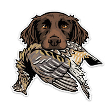 |Small Munsterlander with a Ruffed Grouse