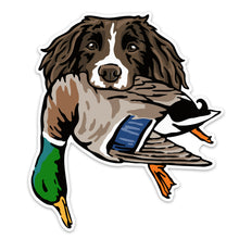 |Springer with a Mallard