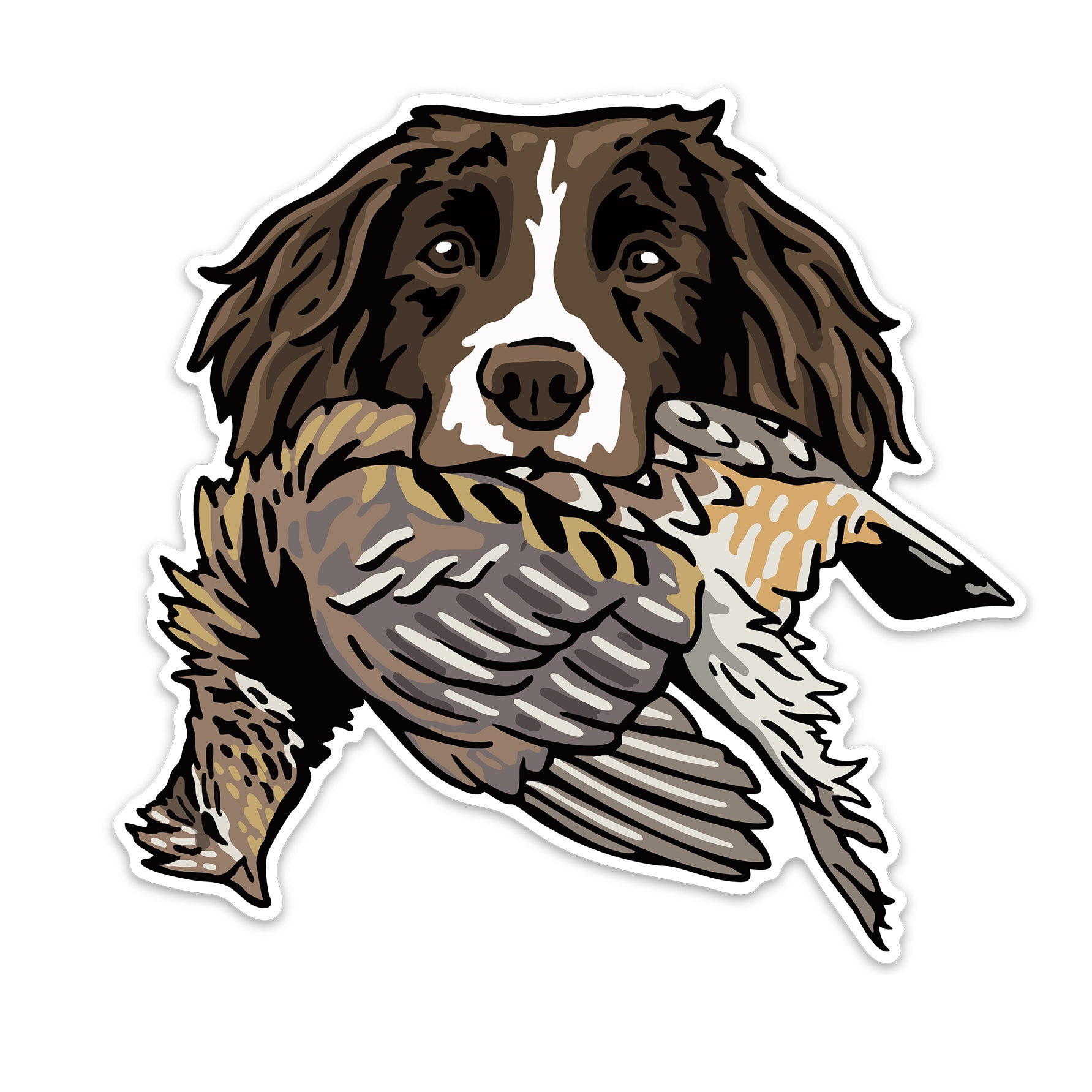 |Springer with a Pheasant