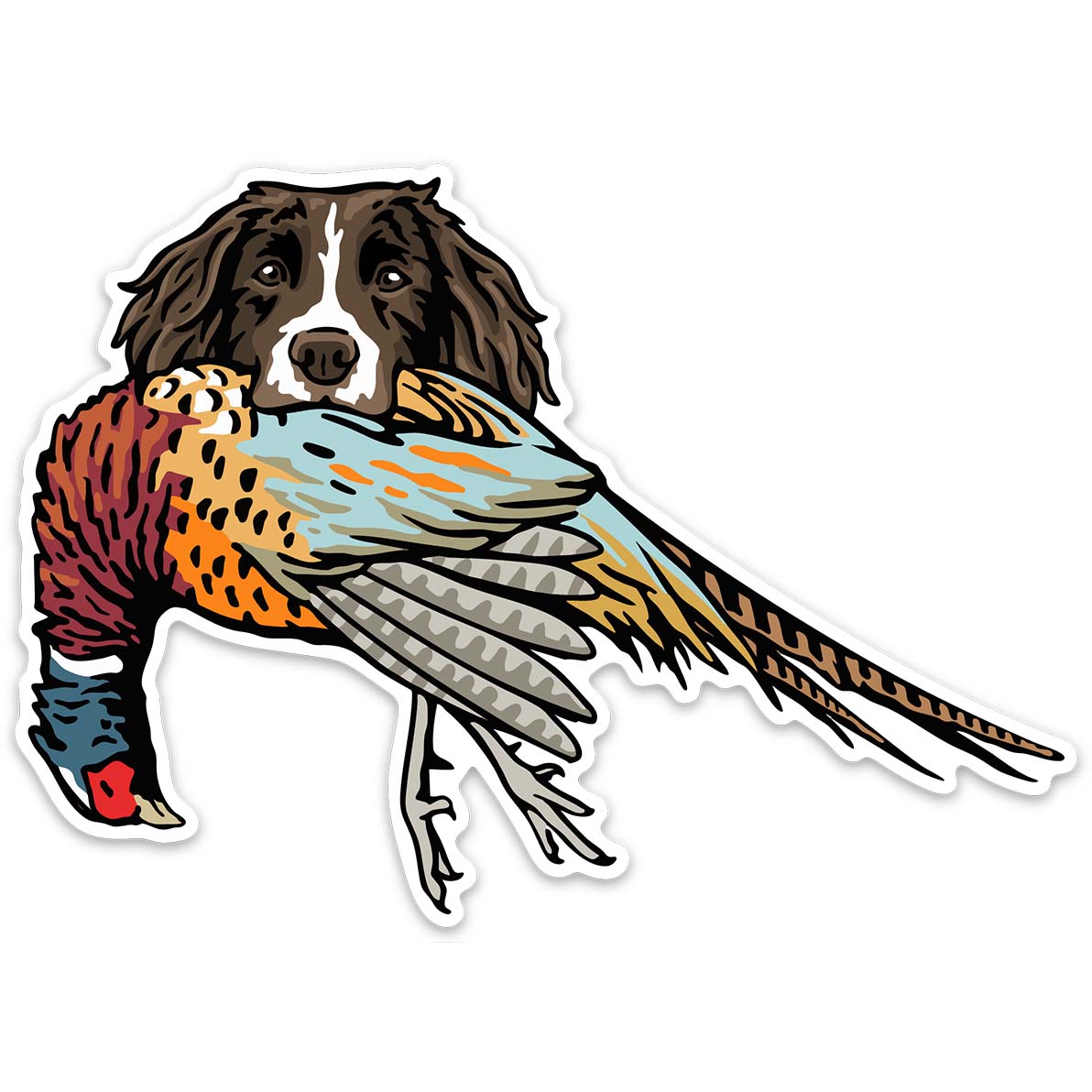 |Springer with a Pheasant