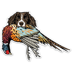 |Springer with a Pheasant