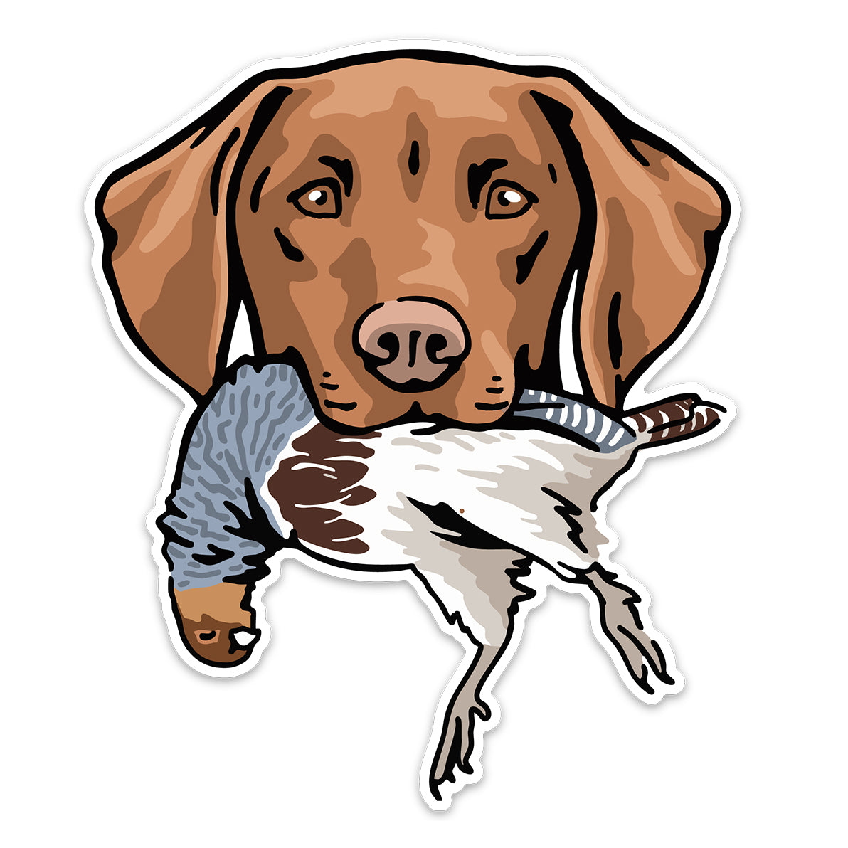|Vizsla with a Hungarian Partridge