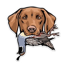 |Vizsla with a California Quail