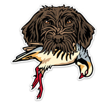 |Griffon with a Chukar