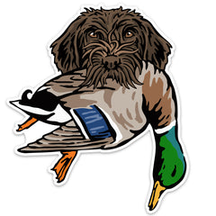 |Griffon with a Mallard