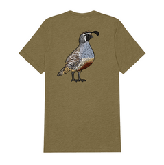|Olive