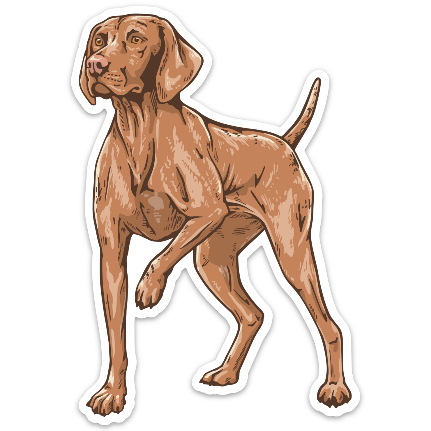 Vizsla Dog Decal Sticker | Bird Dog of the Day