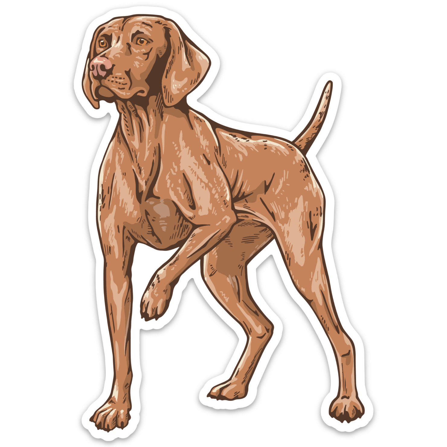 Vizsla Dog Decal Sticker