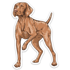 Vizsla Dog Decal Sticker