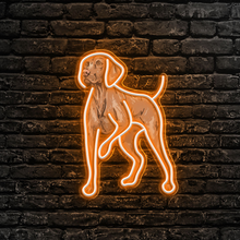 Load image into Gallery viewer, Vizsla Neon Sign
