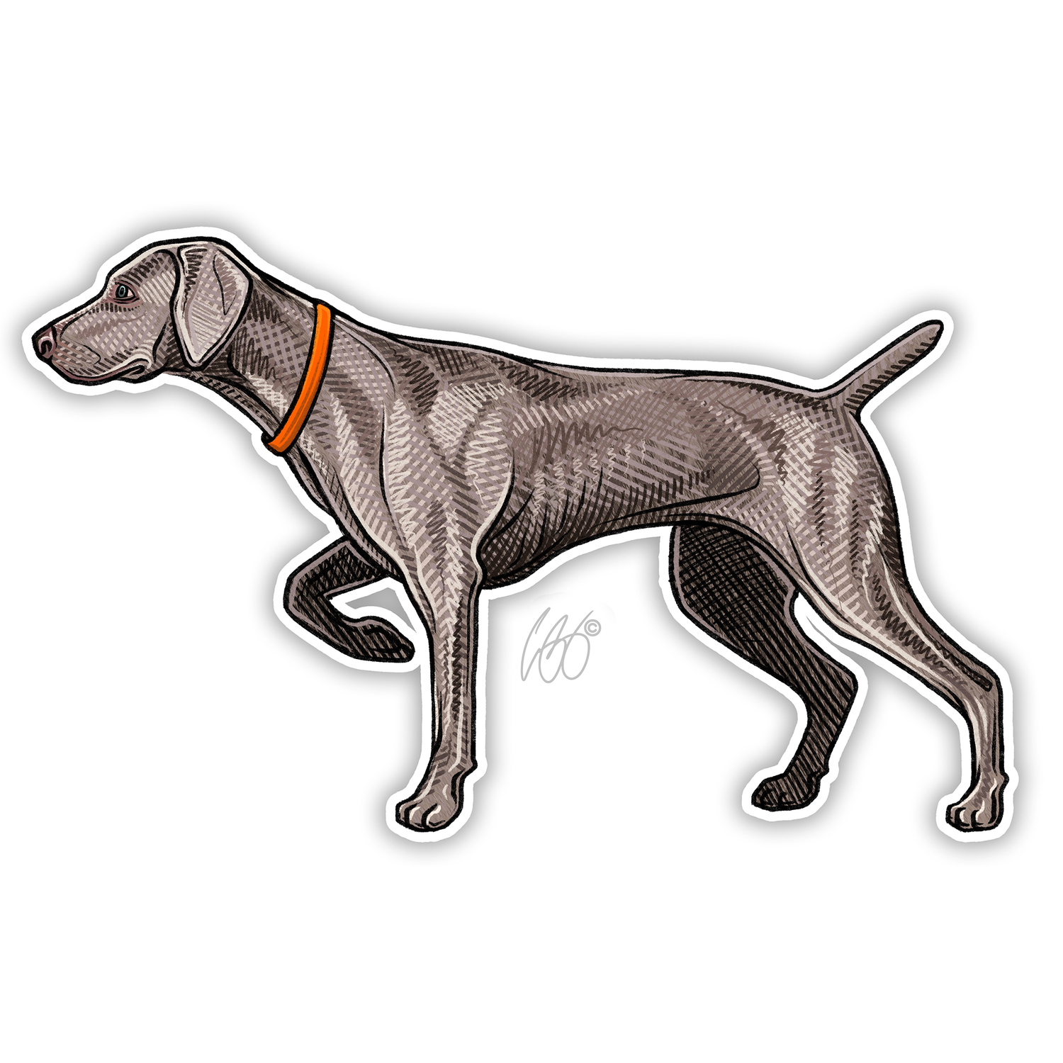 Weimaraner Decal Sticker