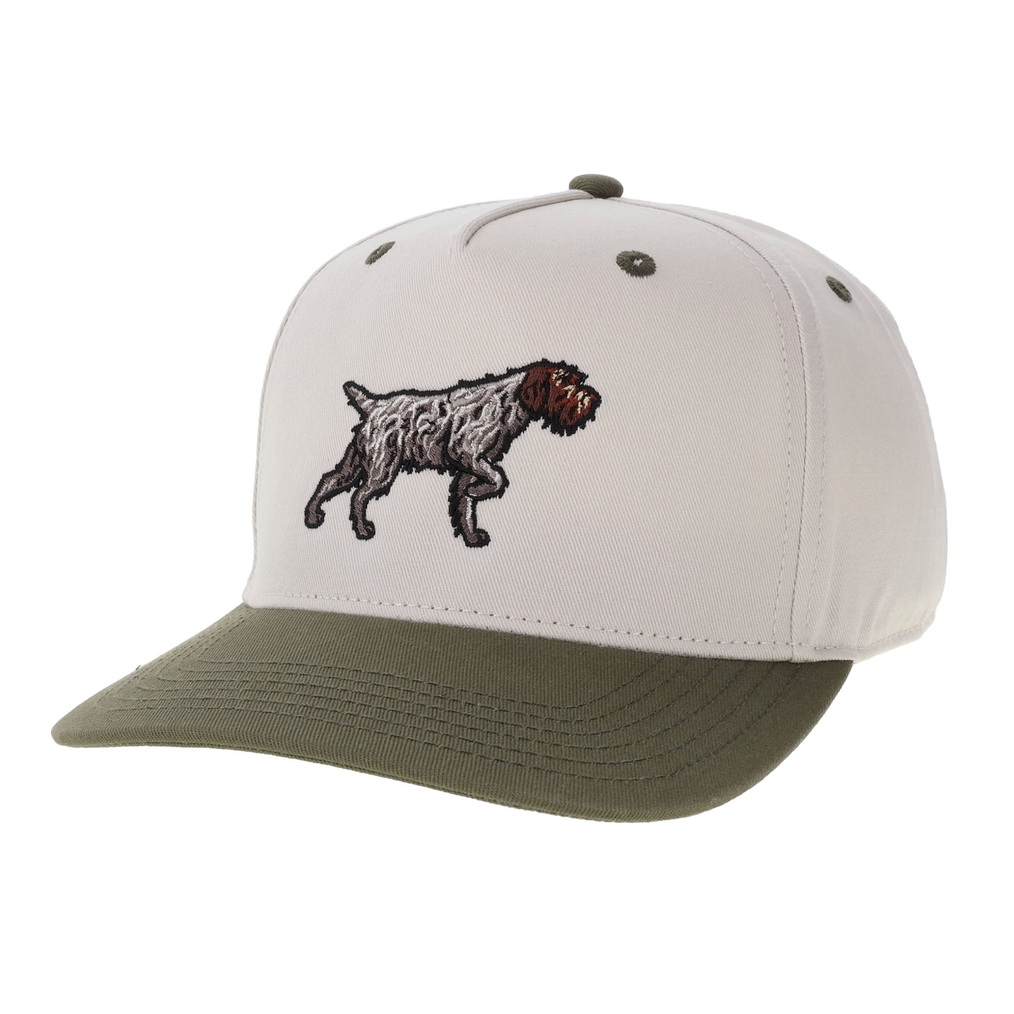 wirehaired-pointing-griffon-