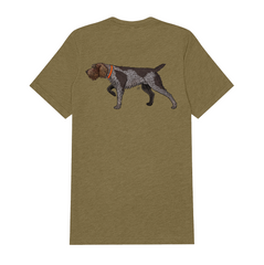 |Olive