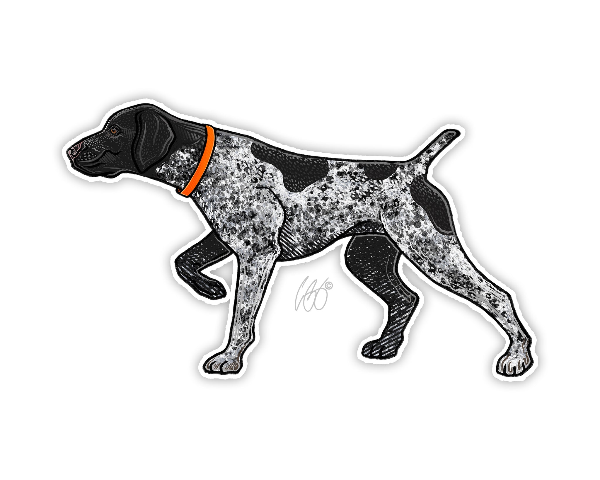 German shorthaired pointer gear shop