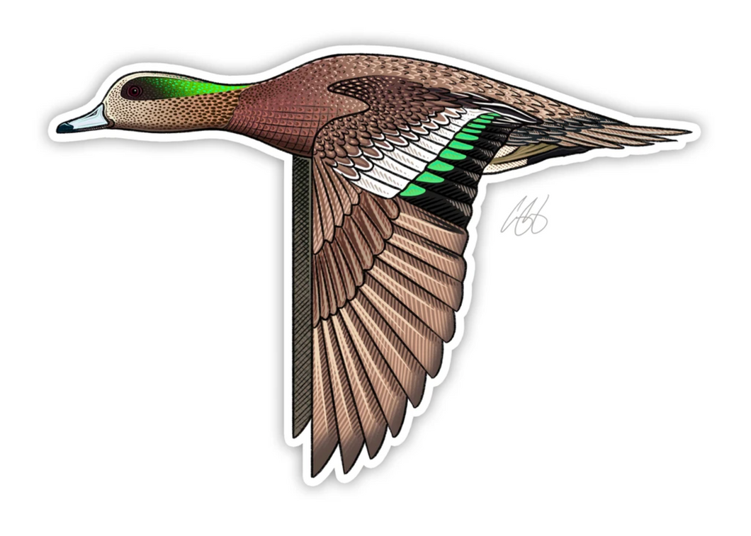 American Wigeon Decal Sticker