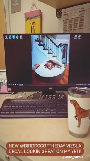 Video of a Vizsla Decal Sticker on a stainless steel coffee mug at a computer desk.